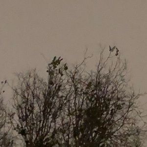 Meet your Posher, Angelo